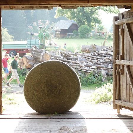 Urlaub Am Bio-Bauernhof Liebchen Villa Zeutschach Ngoại thất bức ảnh