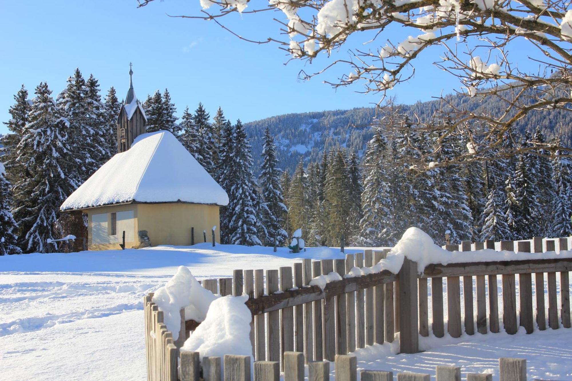 Urlaub Am Bio-Bauernhof Liebchen Villa Zeutschach Ngoại thất bức ảnh