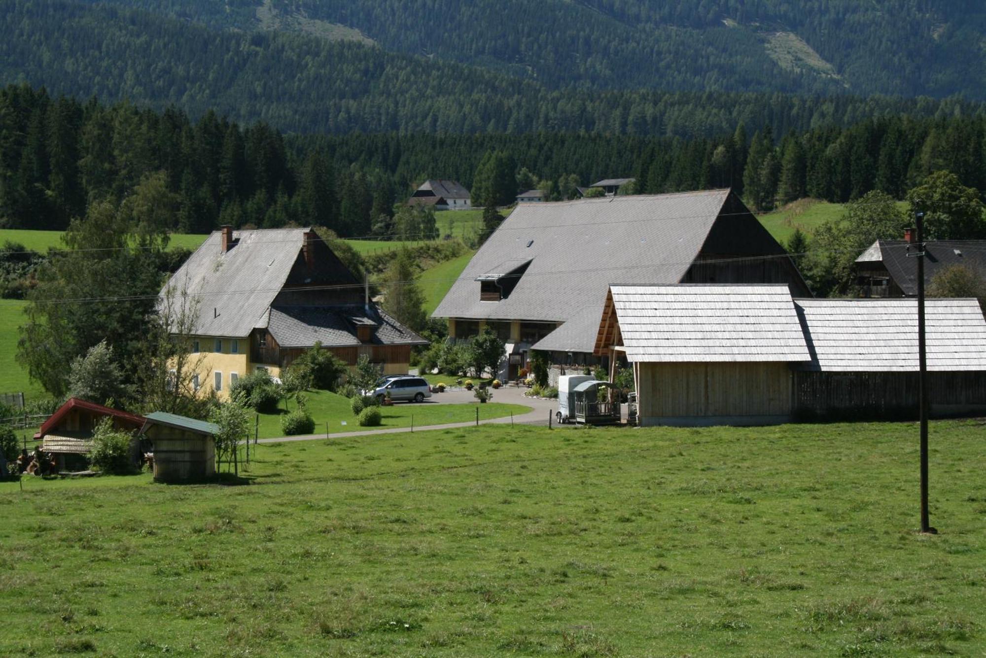 Urlaub Am Bio-Bauernhof Liebchen Villa Zeutschach Ngoại thất bức ảnh