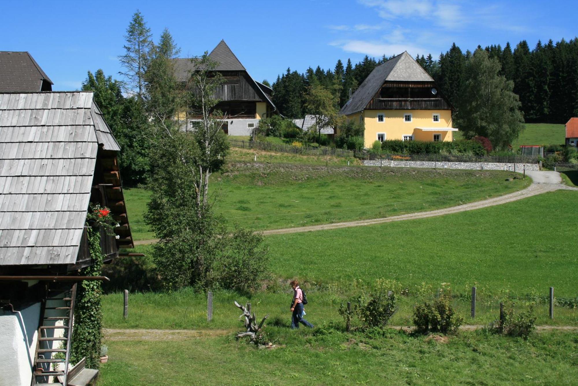 Urlaub Am Bio-Bauernhof Liebchen Villa Zeutschach Ngoại thất bức ảnh