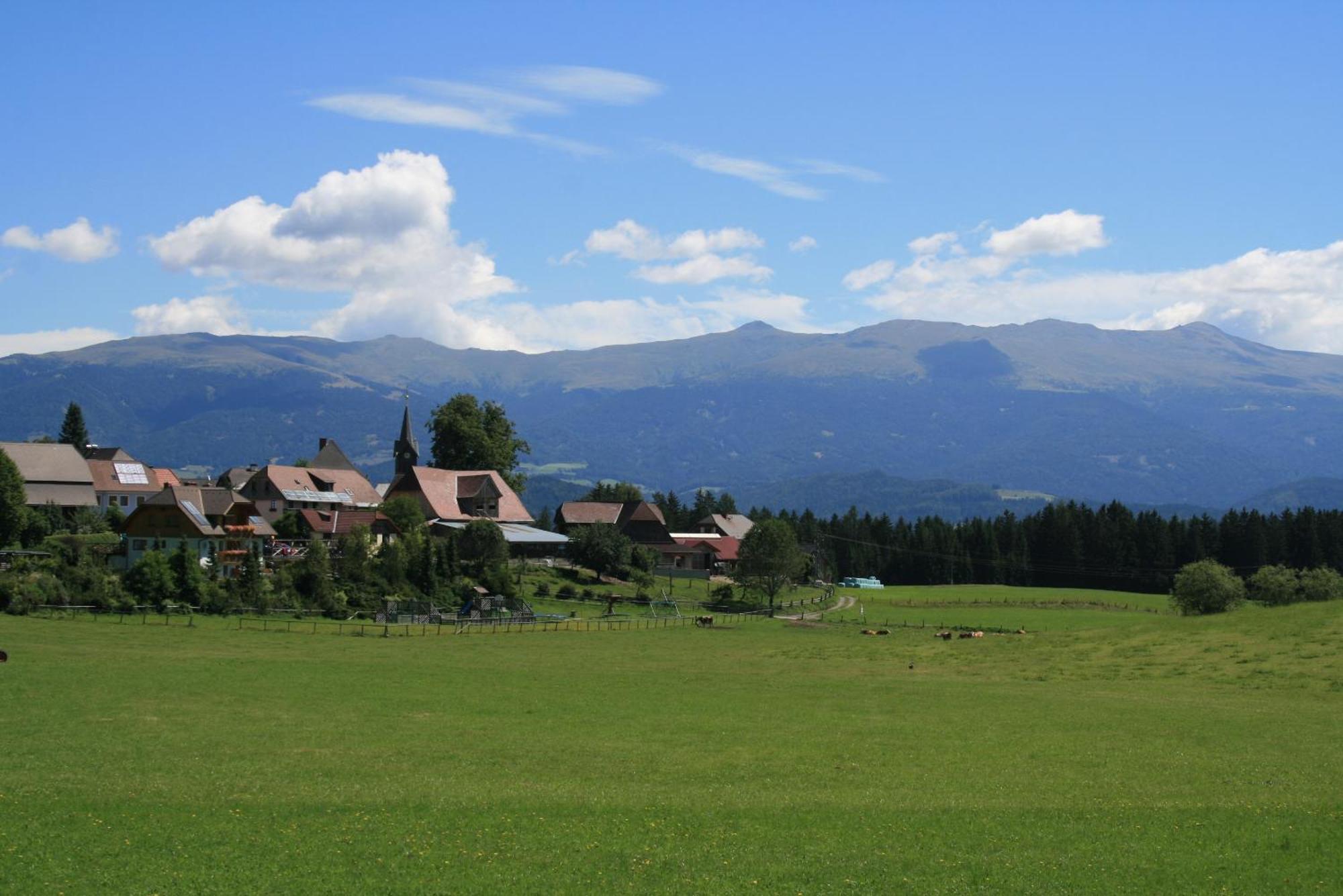 Urlaub Am Bio-Bauernhof Liebchen Villa Zeutschach Ngoại thất bức ảnh