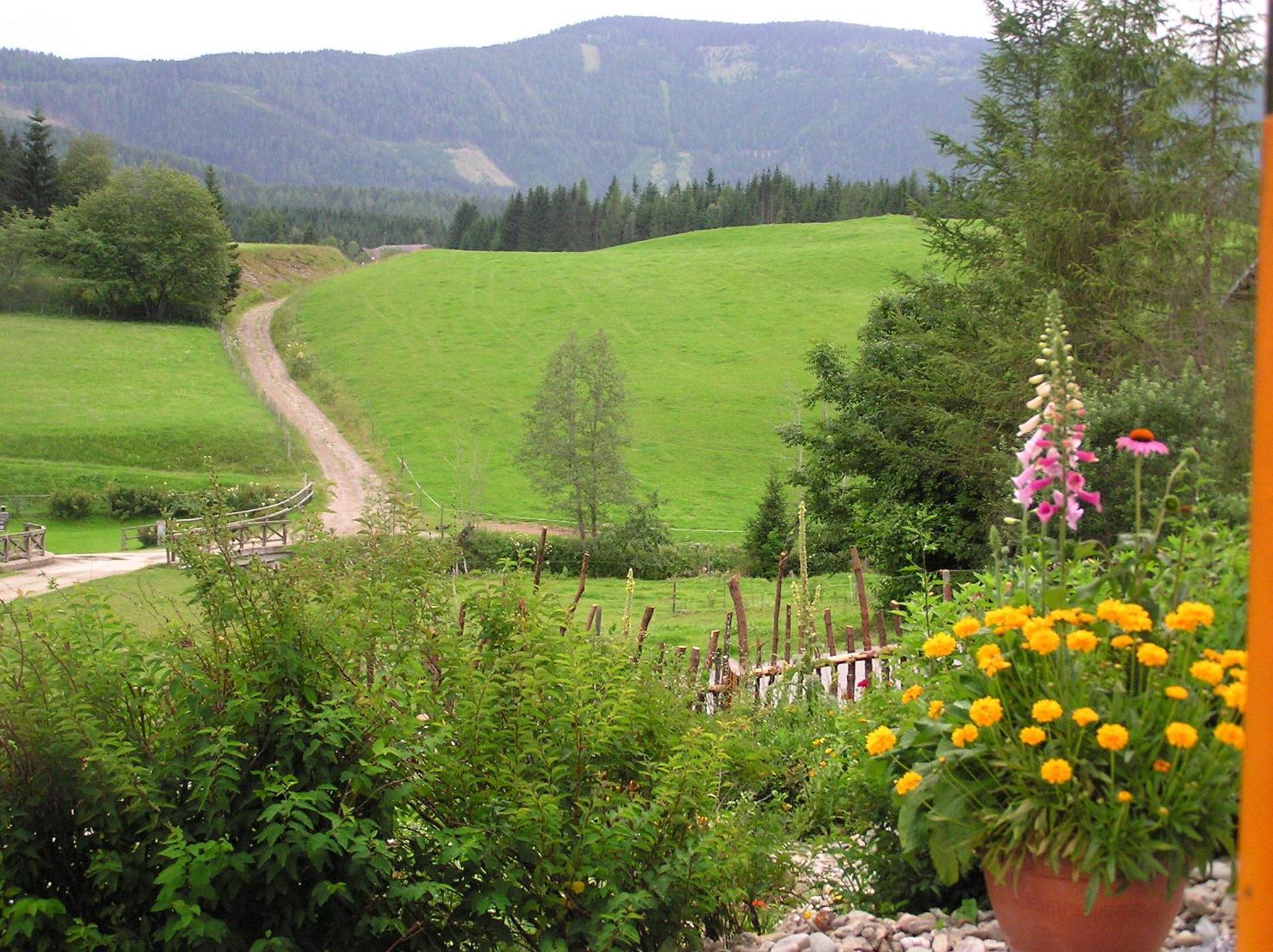 Urlaub Am Bio-Bauernhof Liebchen Villa Zeutschach Ngoại thất bức ảnh