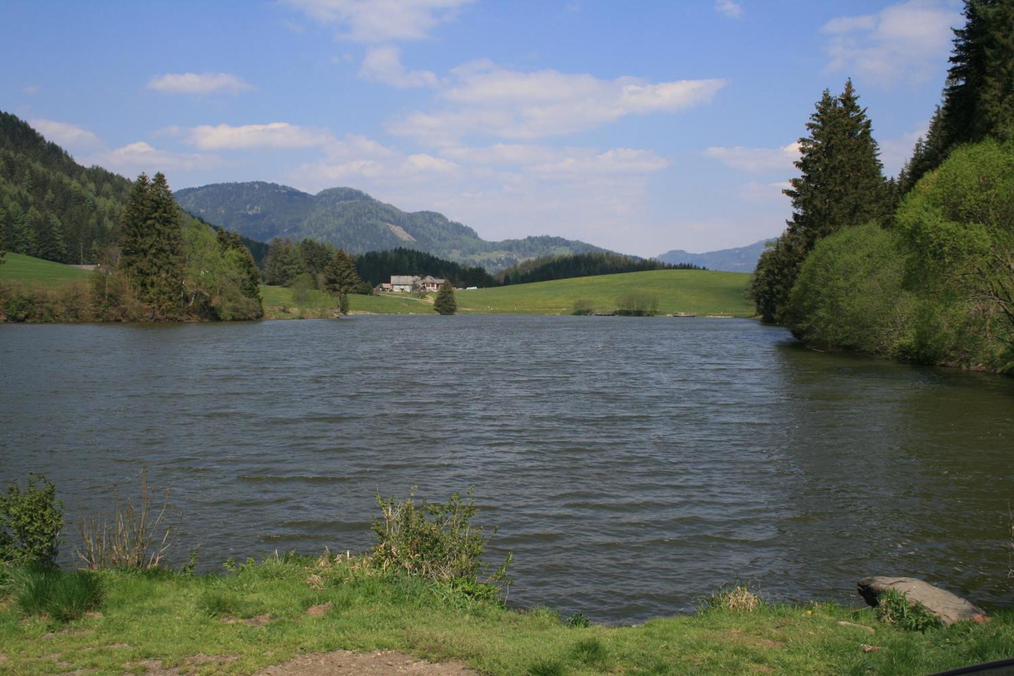 Urlaub Am Bio-Bauernhof Liebchen Villa Zeutschach Ngoại thất bức ảnh