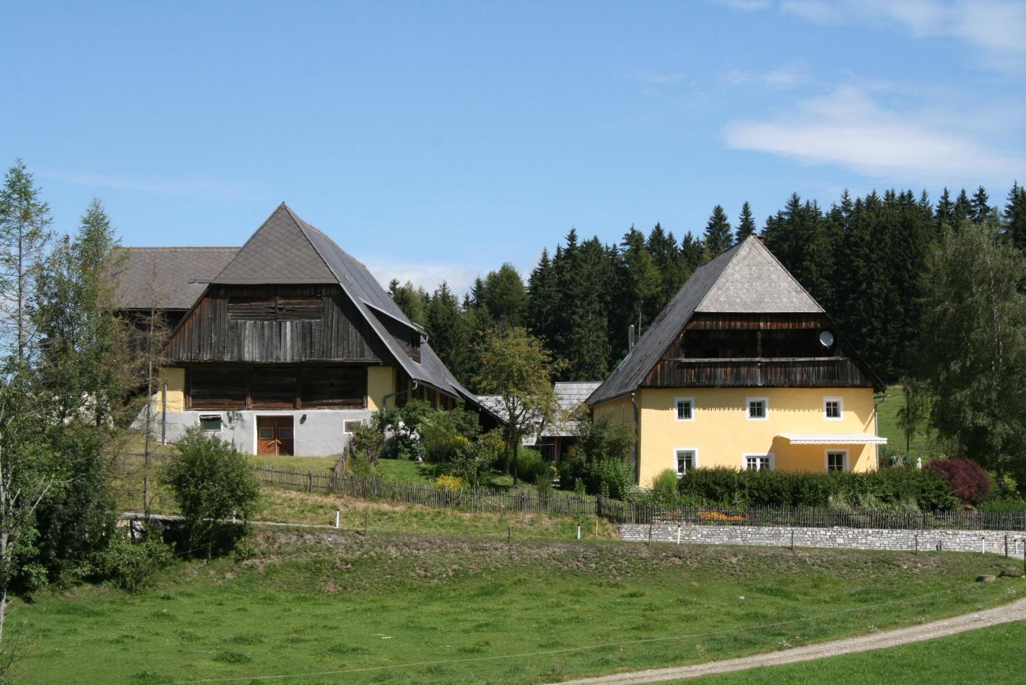 Urlaub Am Bio-Bauernhof Liebchen Villa Zeutschach Ngoại thất bức ảnh