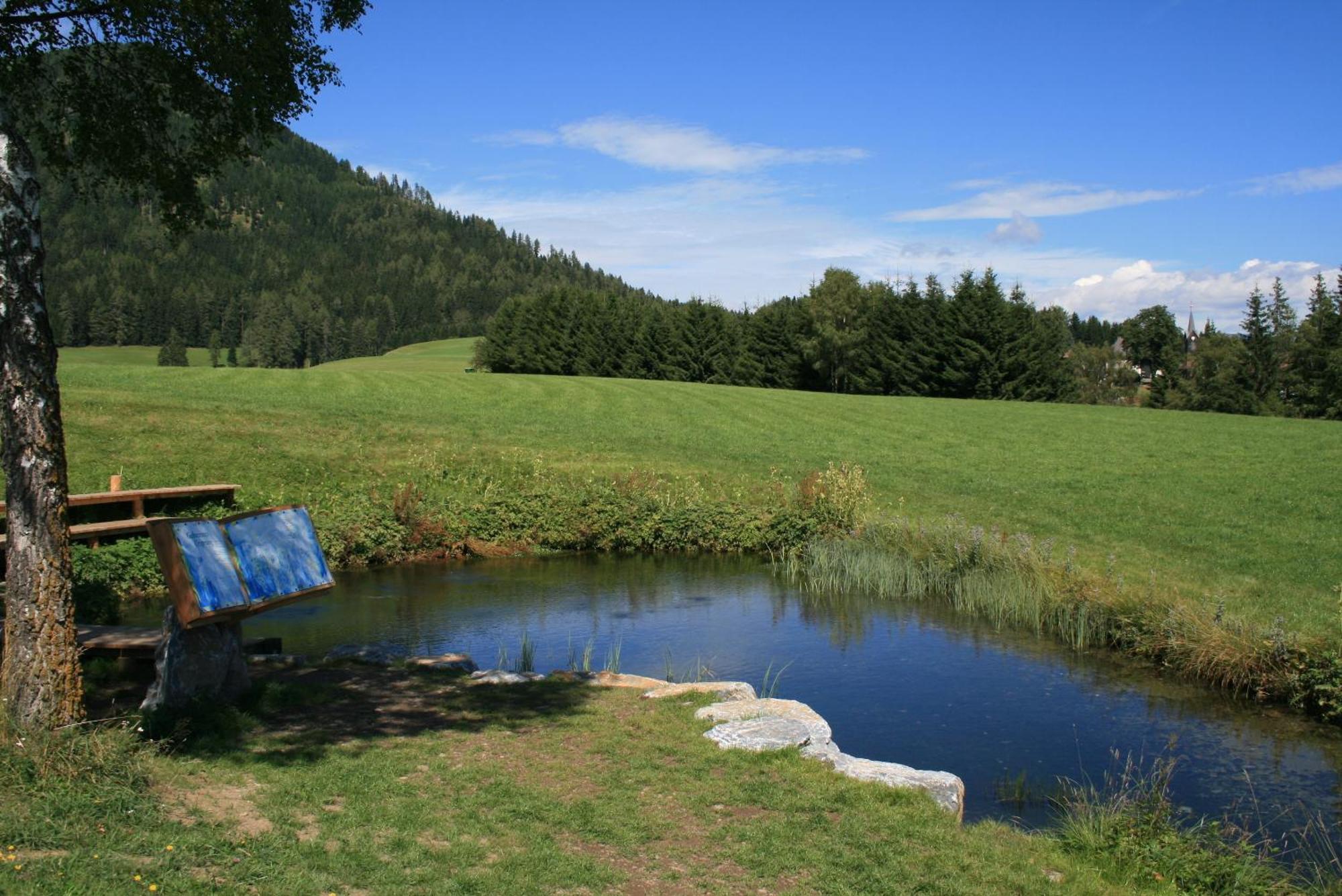Urlaub Am Bio-Bauernhof Liebchen Villa Zeutschach Ngoại thất bức ảnh